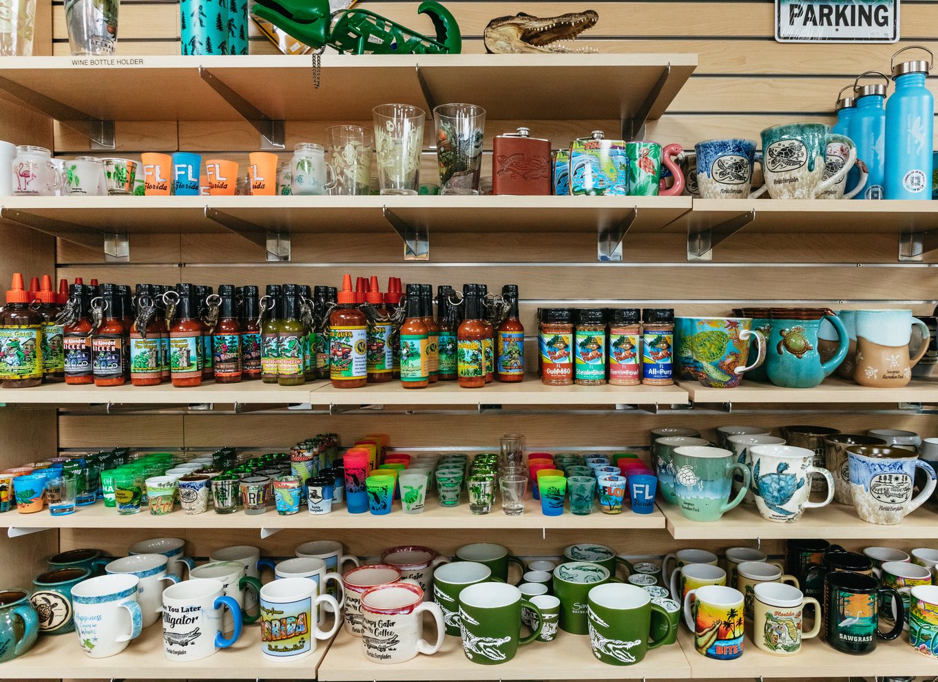 Everglades: 1-times aftentur i airboat