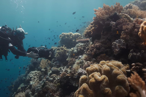 Yogyakarta: Goa Pindul, Nglambor Beach, & Sand Dunes Tour