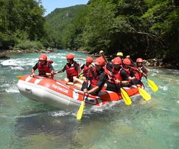 Tara Rafting - Ganztagestour