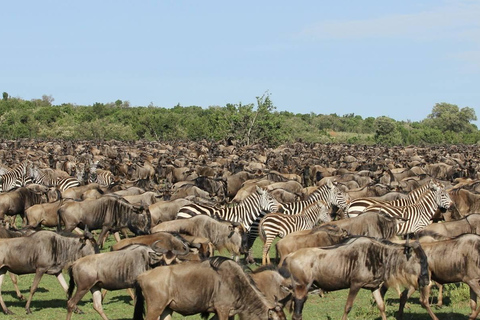 Combinación de 15 días de espectacular safari por Kenia y Tanzania con