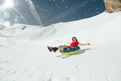 Vanuit Zürich: Dagtrip met sneeuwscooter op de Titlis berg