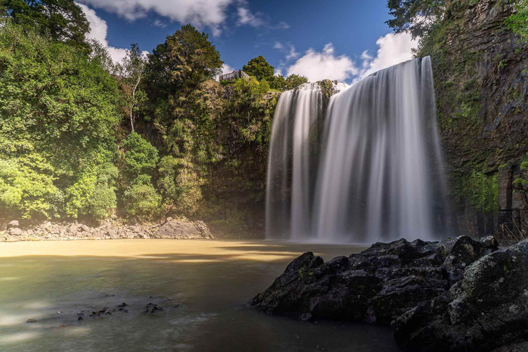 From Auckland: Hole in the rock cruise tour