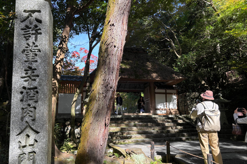 Kyoto: Higashiyama Premium E-Bike Tour with guide