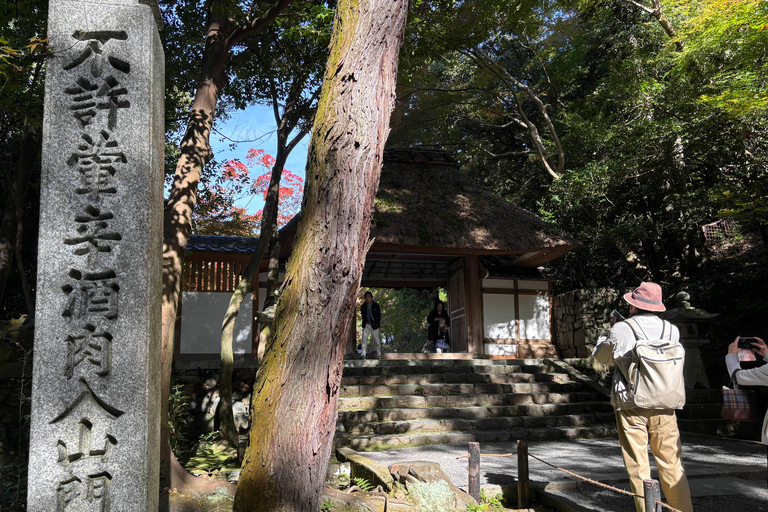 Kyoto: Higashiyama Premium E-Bike Tour with guide