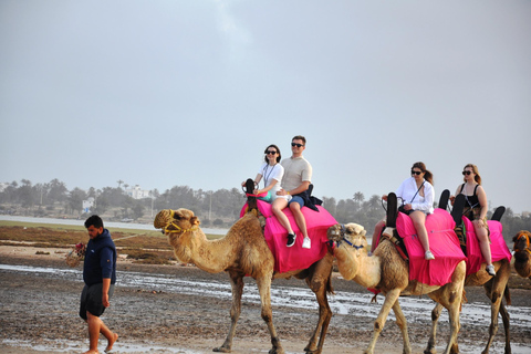 Djerba: Kamelenrit naar de Blue Lagoon bij zonsondergang