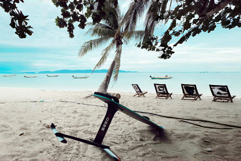 Pattaya: 1-Hour E-Foil Experience with Professional