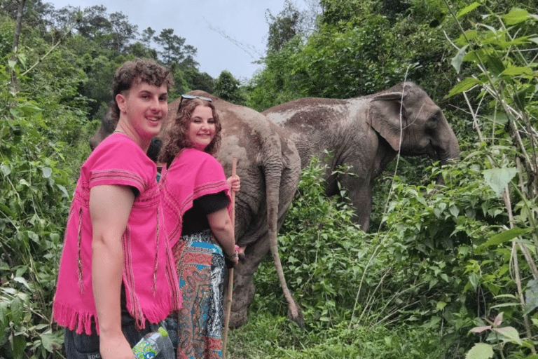 Chiang Mai: Elephant Sanctuary & Watch Sunrise at Temple