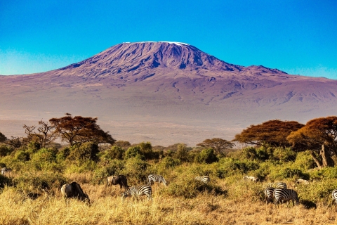 Ascensión al Kilimanjaro por la Ruta Lemosho 8 Días