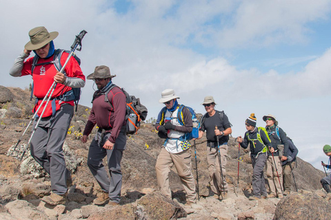 Escalada de 7 días al Kilimanjaro por la Ruta Lemosho