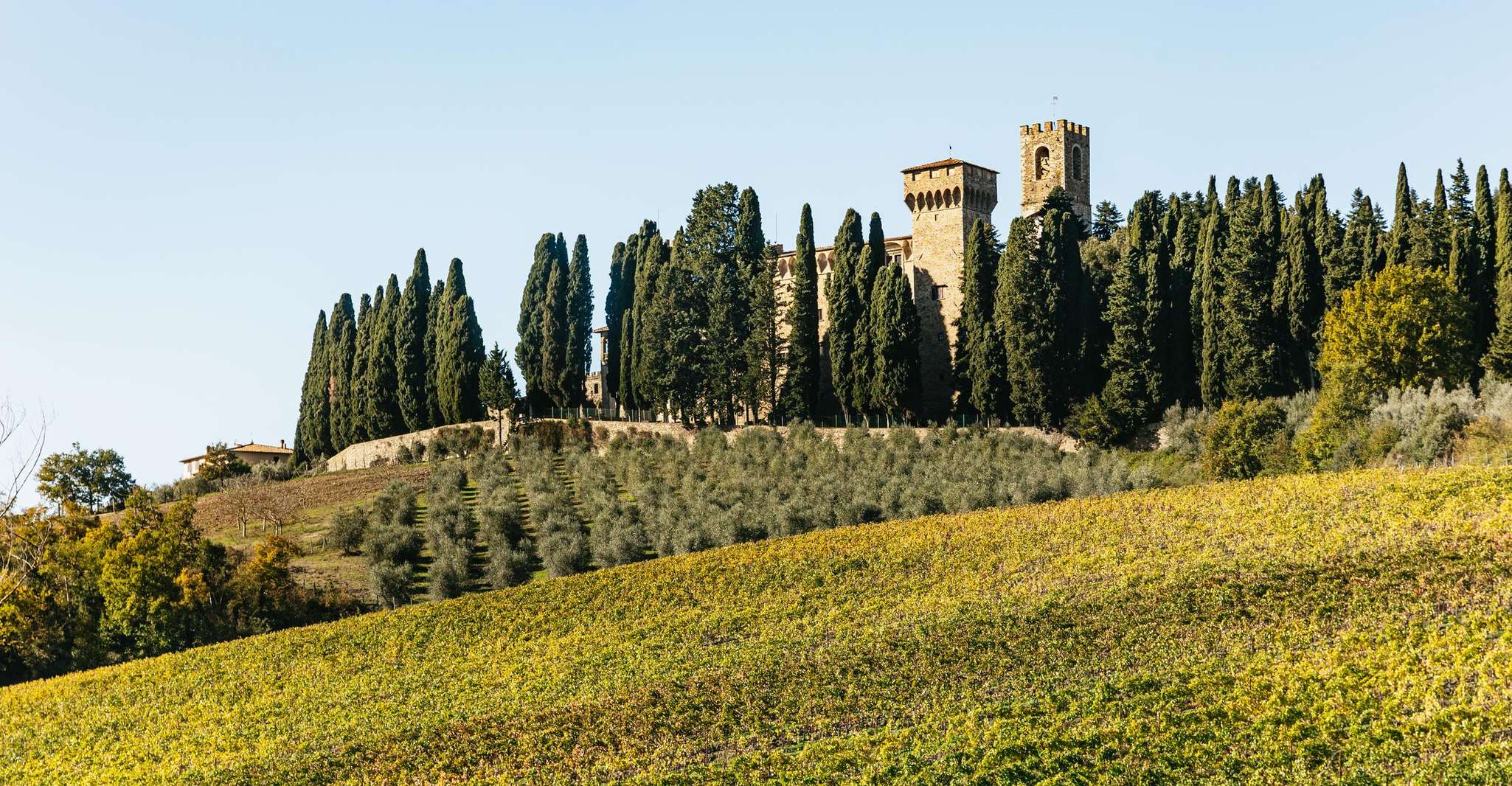 SMALL GROUP Tuscany Wine Tasting Safaris with Lunch / Dinner photo 15