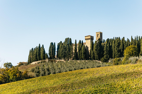 Da Firenze: Safari con degustazione di vini e cibi del Chianti