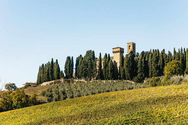 Chianti wijn- en spijssafari