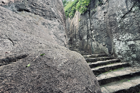 From Colombo: Cave Temples, Jungle Trek & Waterfall Swim