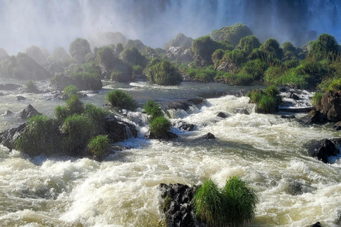 Tour particular de um dia pelas Cataratas do Iguaçu: Os dois lados, no mesmo dia!