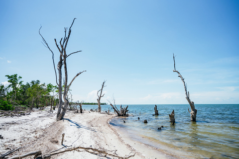 Naples, FL: Manatee, Dolphin, 10,000 Islands Beach Eco Tour Small Group Tour with up to 6 People