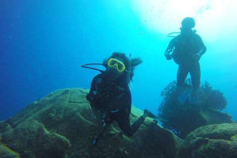 Padi : formation continue avancéeMaurice : Cours PADI Advanced Open Water Diving