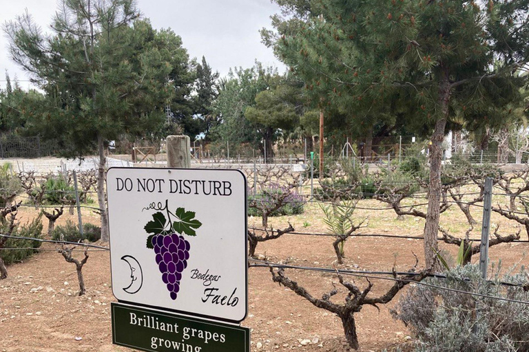 Z Alicante – najlepsza wycieczka po winnicy z degustacjąWycieczka po najlepszych winiarniach Alicante z degustacją