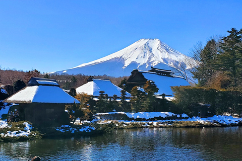 Mount Fuji Full-Day Private Tour from Yokohama Customizable