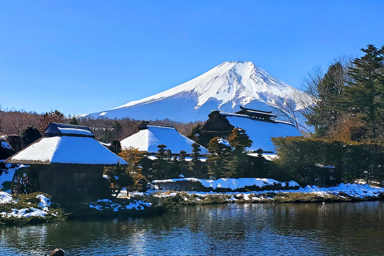 Mount Fuji Full-Day Private Tour from Yokohama Customizable