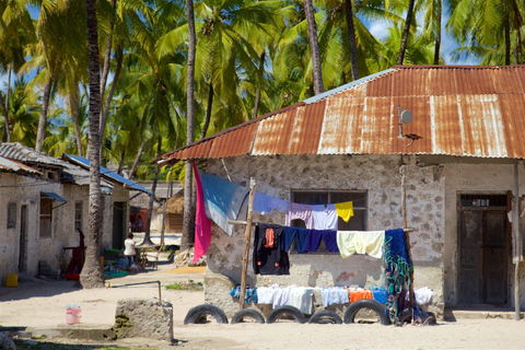 Zanzibar: Rundtur i byn Paje