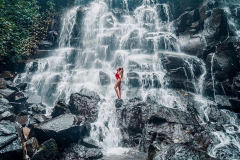 Ubud-avontuur: apenbos, rijstterrassen en watervallen