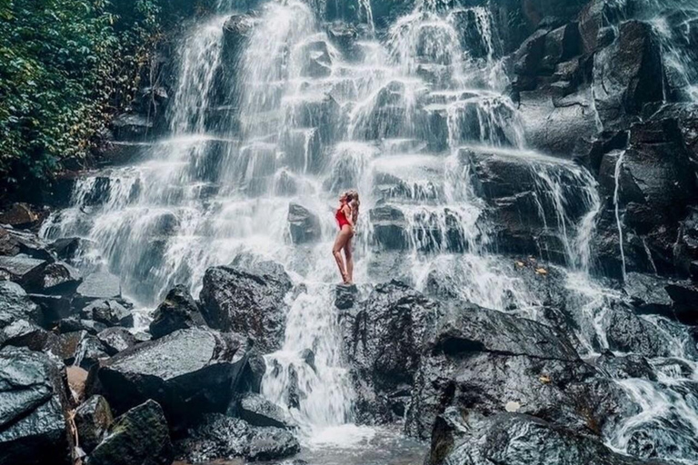 Ubud-avontuur: apenbos, rijstterrassen en watervallen