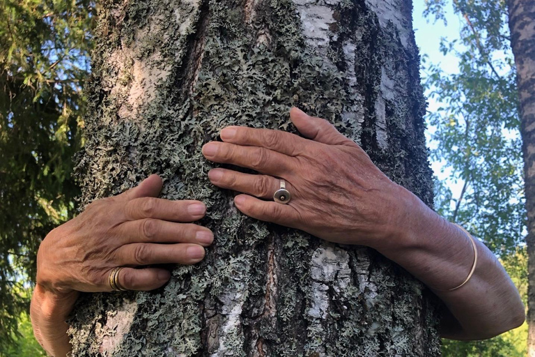 Bagno nella foresta nella natura di Stoccolma con guida certificataBagno nella foresta con cerimonia del tè nella riserva naturale di muschio