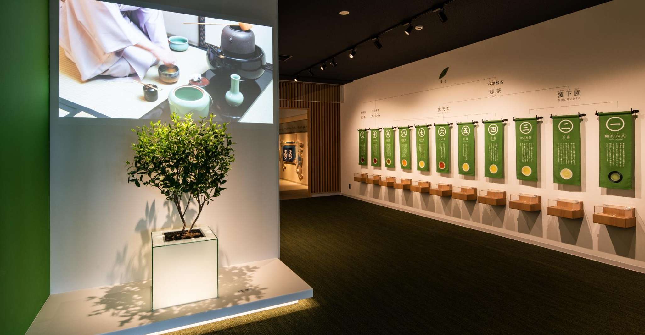 Kyoto: Tea Museum Tickets and Matcha Grinding Experience photo 6