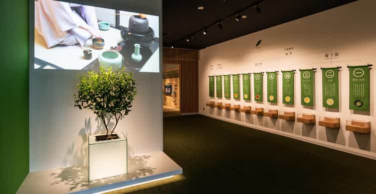 Galerie média