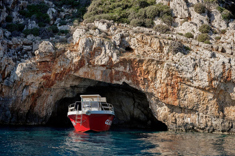 Zakynthos: Shipwreck Beach and Blue Caves Boat Tour Zakynthos: Shipwreck Beach and Blue Caves Boat Tour
