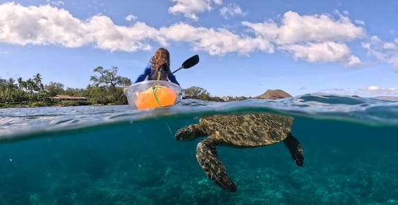 Turtle Town Clear Kayak & Snorkel Tour (8am-11am)