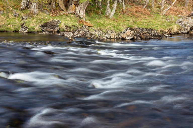 Schottland: Fotografie Private Tour mit Profi-FotografPrivate Tour durch die schottischen Highlands 8 Std.