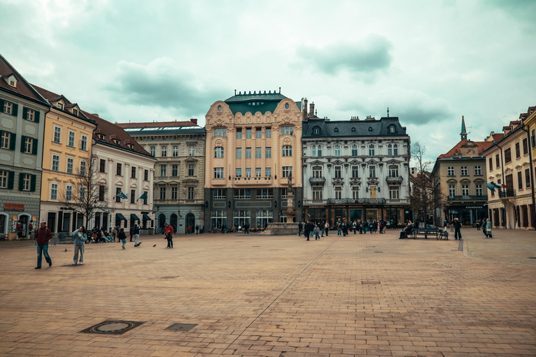 Budapest and Bratislava in one day from Vienna