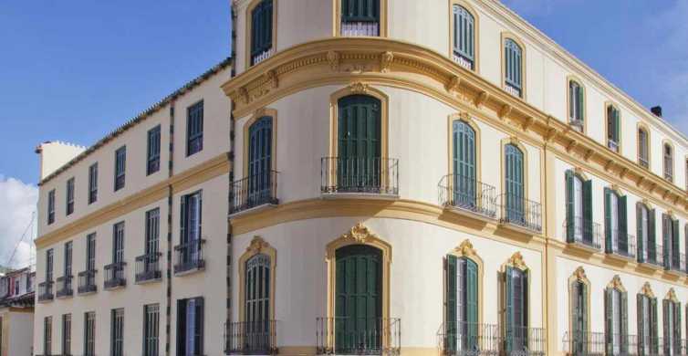 Málaga: Picasso Geburtshaus Museum Ticket & Audioguide der Stadt
