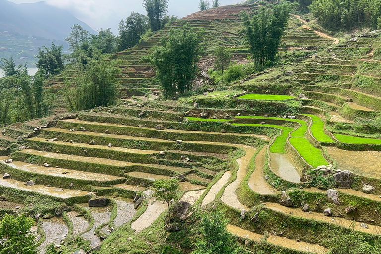 2-Day Sapa City Tour & Discover Fansipan Mountain From Hanoi