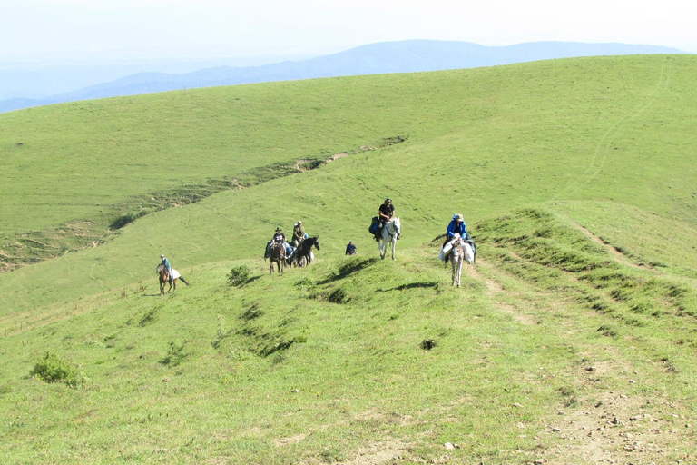 1 Day Horse Riding Adventure in Borjomi Mountains1 day horse riding adventure in Borjomi National Park