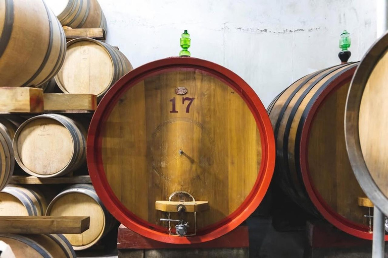Golem , Durres : Wine Tasting Tour with Hotel Pickup