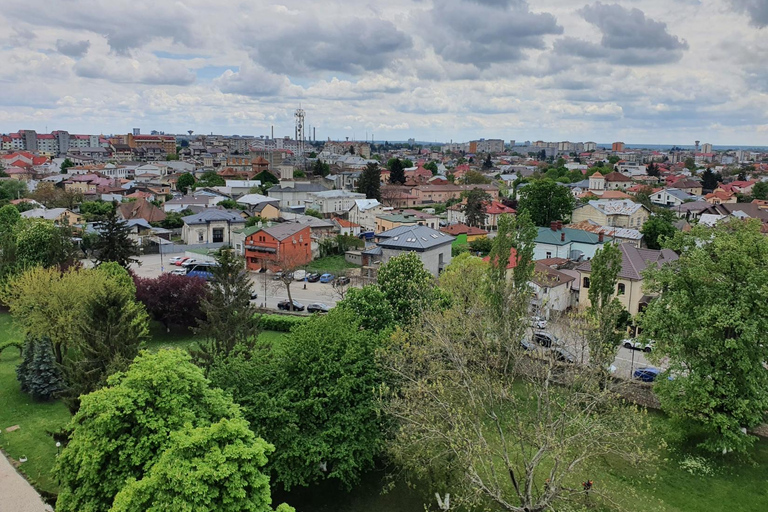 Desde Bucarest: tour privado de día completo de DráculaOpción estándar