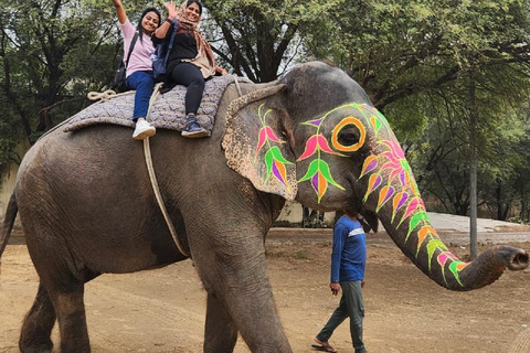 Jaipur: Hathi Gaon Elephant Riding, Painting, Feeding & More Riding on Elephant with Photogarphy