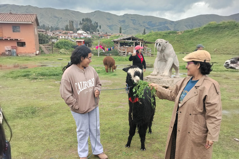 Autocarro aberto na cidade de Cusco, passeio de 3 horas com vistas panorâmicasÔnibus aberto em Cusco, passeio de 3 horas com vistas panorâmicas