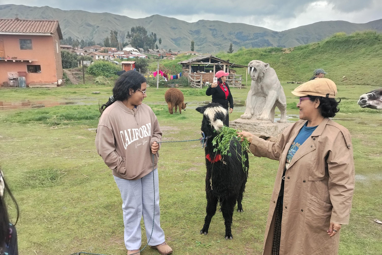 Autocarro aberto na cidade de Cusco, passeio de 3 horas com vistas panorâmicasÔnibus aberto em Cusco, passeio de 3 horas com vistas panorâmicas