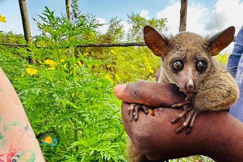 Zanzibar: Passeio pela vila de Nungwi, zoológico de Kilosa e cruzeiro guiado ao pôr do sol