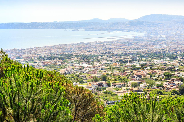 Tour del Vesuvio_Trasferimento+Biglietto d&#039;ingresso