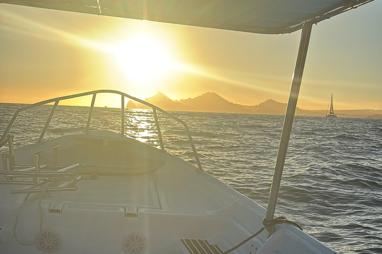 Los Cabos: Whale Watching and Safari