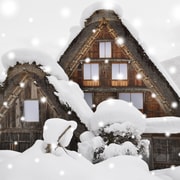 From Takayama: Shirakawago and Gokayama Bus Tour by Nohi Bus