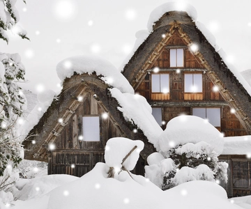 Vanuit Takayama: Shirakawago en Gokayama bustour met Nohi Bus