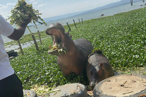 Nairobi:Lake Naivasha, Hell’s Gate & Crescent Island Tour