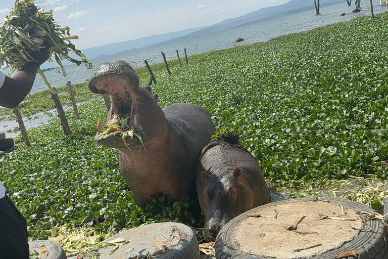 Nairobi:Lake Naivasha, Hell’s Gate & Crescent Island Tour