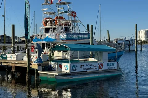 Pensacola Beach Sunset Dolphin Tour privat upp till 6 personer