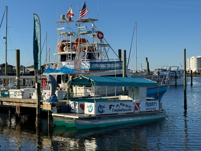 Visit Pensacola Beach Sunset Dolphin Tour private up to 6 ppl in Pensacola, Florida